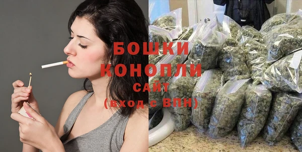 гидра Магас
