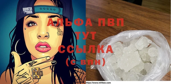прущий лед Абаза