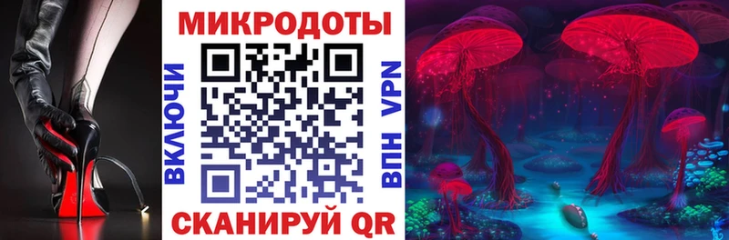 Псилоцибиновые грибы Cubensis  Белая Калитва 